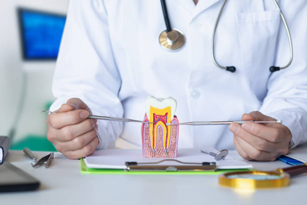 Best Urgent Tooth Repair  in Brewster Heights, NY